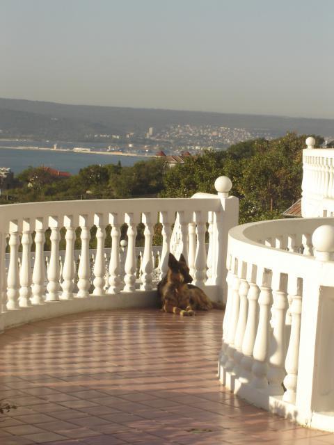 Family Hotel Casablanca Green Varna Eksteriør billede